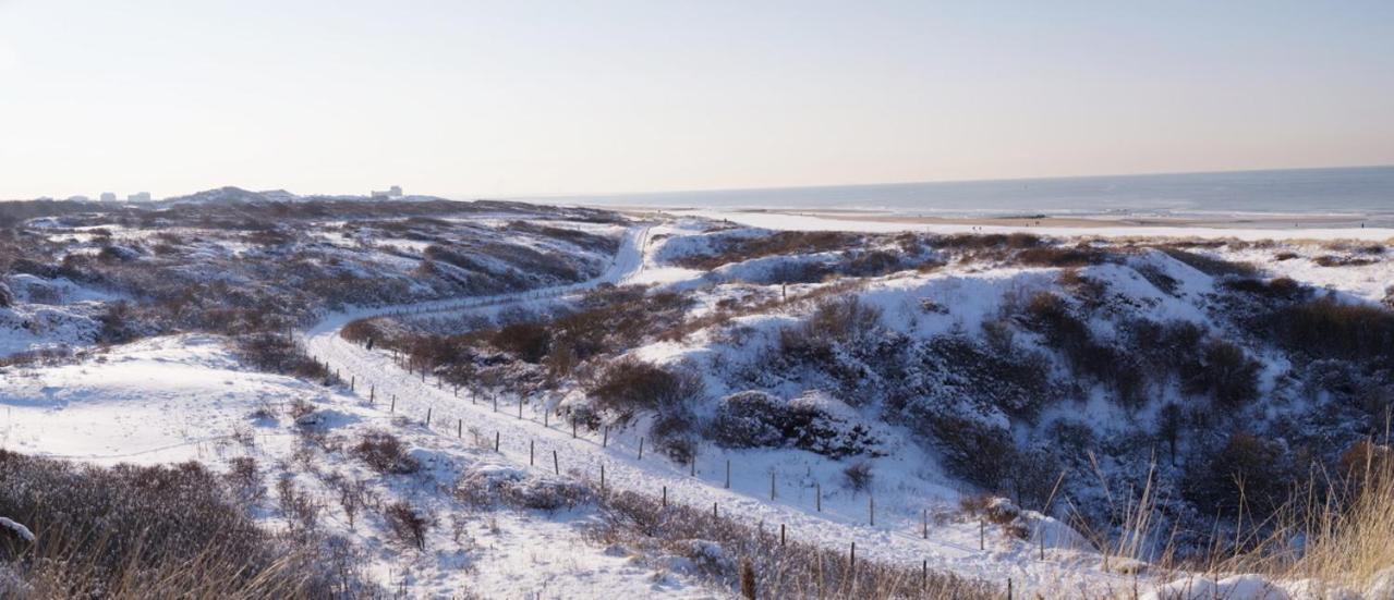 Dunes & Sea At Kijkduin Haga Zewnętrze zdjęcie